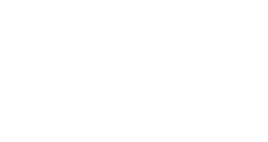 Microsoft Partner